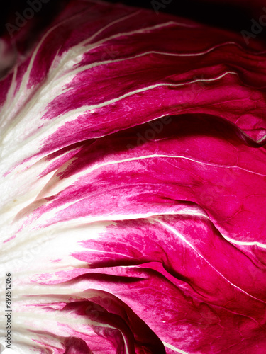 Abstract background with macro shot of red leaf texture