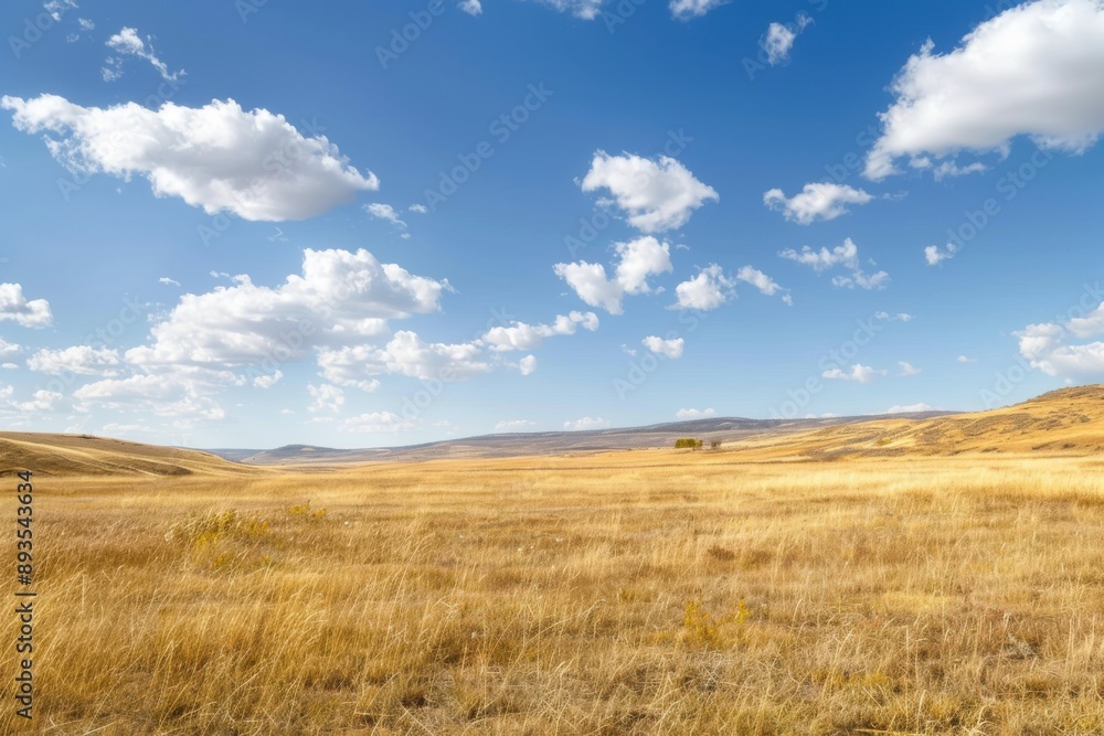 Dry Grass Field Landscape with Sunny Sky and Clouds. Nature Environment Outdoors View Dry Grass Field Landscape with Sunny Sky and Clouds. Nature Environment Outdoors View