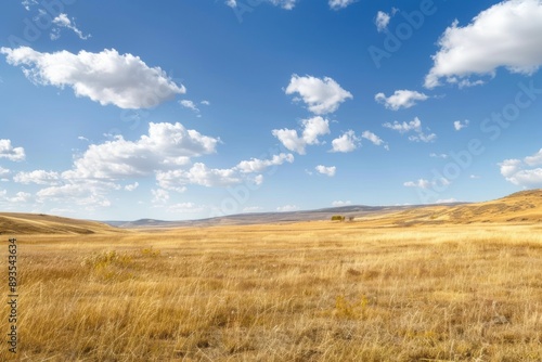Dry Grass Field Landscape with Sunny Sky and Clouds. Nature Environment Outdoors View © Vlad