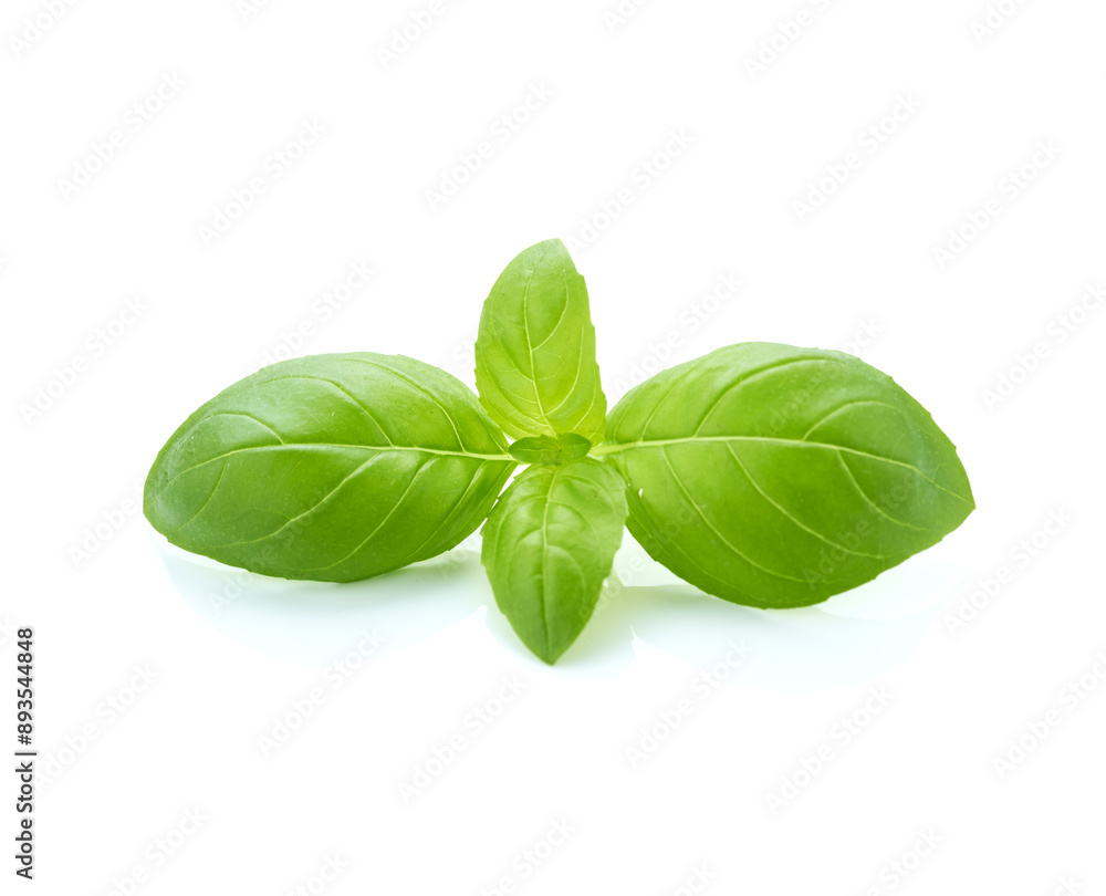 Basil green leaves isolated on white background Basil green leaves isolated on white background