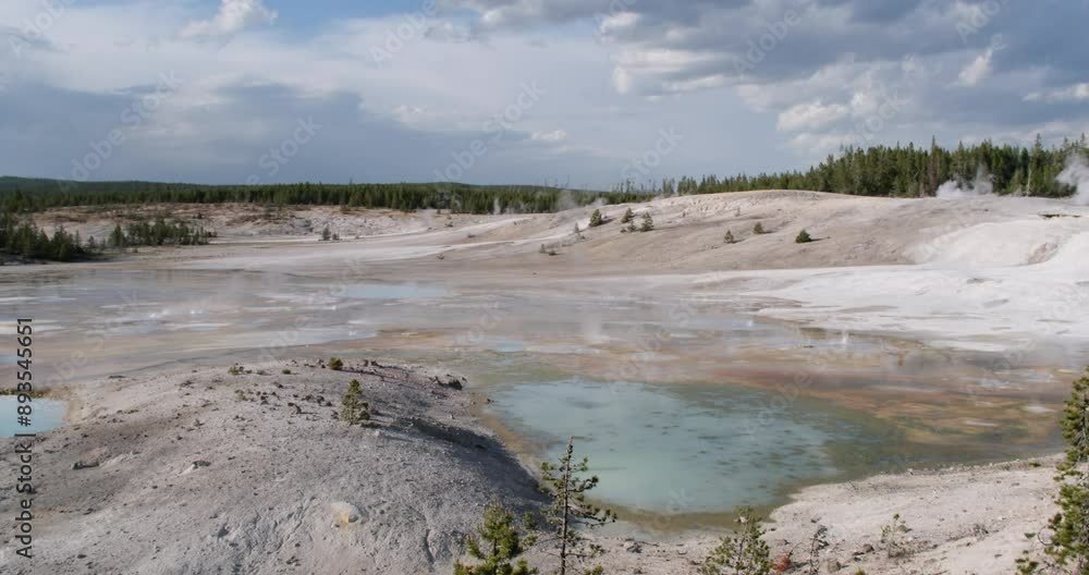 hot spring and fumaroles at Norris Geyser Basin in Yellowstone national park hot spring and fumaroles at Norris Geyser Basin in Yellowstone national park