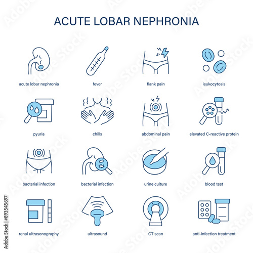 Acute Lobar Nephronia symptoms, diagnostic and treatment vector icons. Medical icons.