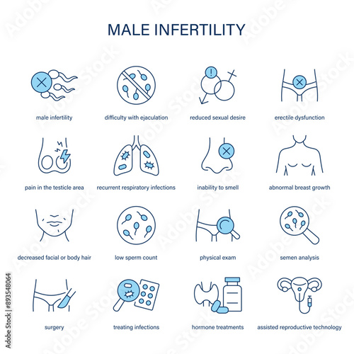 Male Infertility symptoms, diagnostic and treatment vector icons. Medical icons.