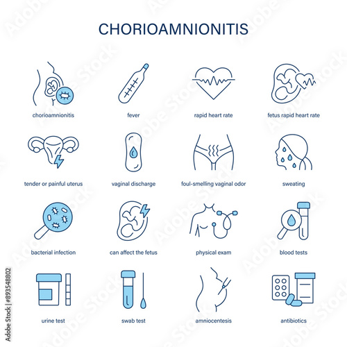 Chorioamnionitis symptoms, diagnostic and treatment vector icons. Medical icons.