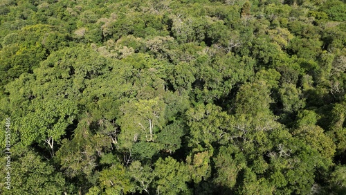 Panorama from the top of the forest reserve in Apucarana in environment. Raposa ecological park. With forest forest of biodiversity and conservation.