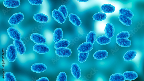 Colony of the Bordetella pertussis bacterium that causes pertussis, a whooping cough
