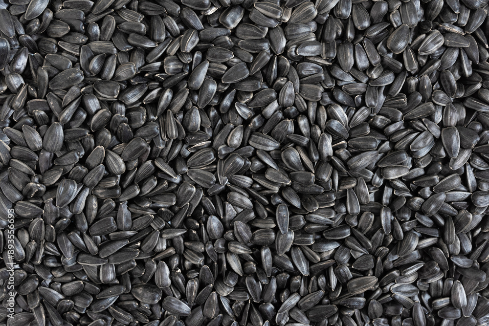 Sunflower seeds background, closeup of roasted seeds. Close up of sunflower seeds as background, top view Sunflower seeds background, closeup of roasted seeds. Close up of sunflower seeds as background, top view