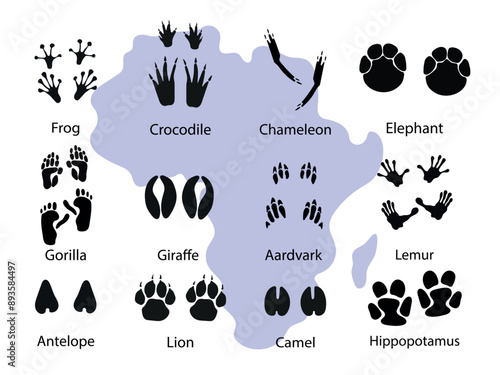 African animals paw prints. Different wild animals footprints black on white illustration. Gorilla elephant, lion, lemur, frog ,giraffe ,chameleon ,aardvark, hippopotamus and crocodile for your design