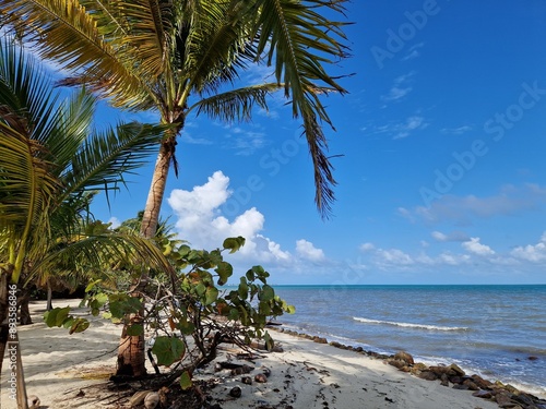 Blick von einem karibischen Sandstrand in Belize auf das offene Meer photo