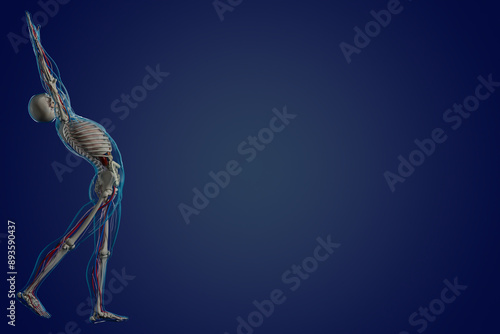 3D rendered Healthy lifestyle and human anatomy 3D illustration