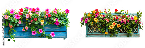 A colorful flower box with a trellis and blooming trumpet vines isolated on transparent background.  photo