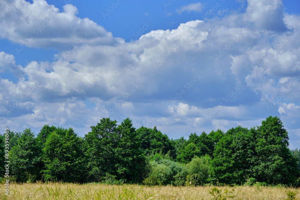 Obraz premium pre-storm clouds