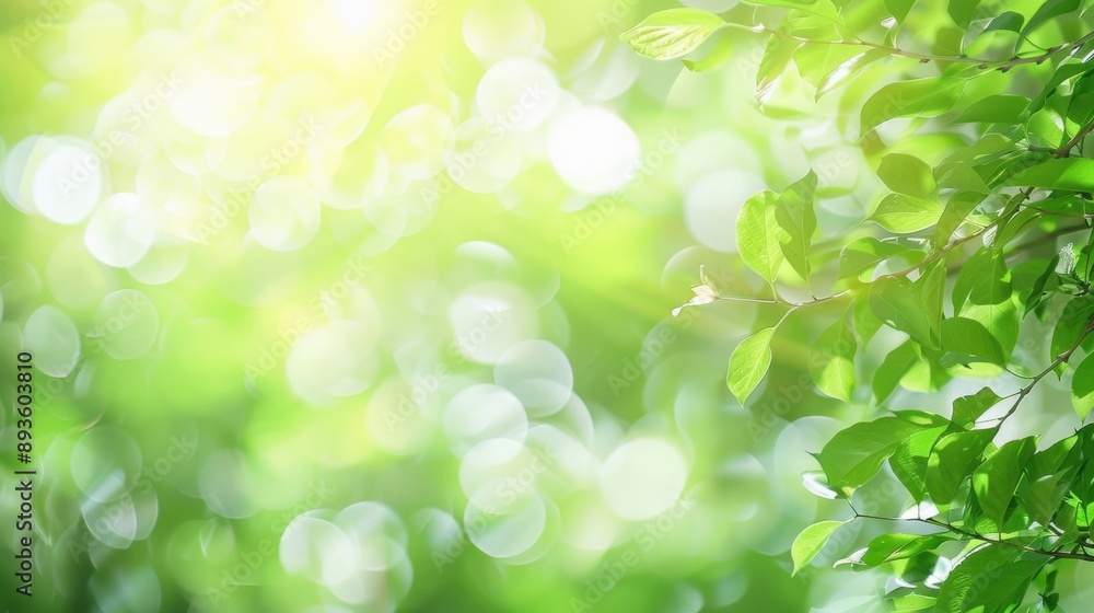 A refreshing and clean background of green plants with soft bokeh lights, creating a natural and serene atmosphere A refreshing and clean background of green plants with soft bokeh lights, creating a natural and serene atmosphere