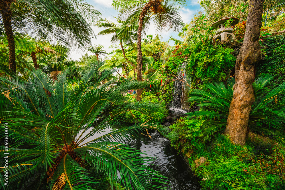 Monte Palace, Tropical Garden with Waterfalls, Lakes and traditional buildings above the city of Funchal Monte Palace, Tropical Garden with Waterfalls, Lakes and traditional buildings above the city of Funchal