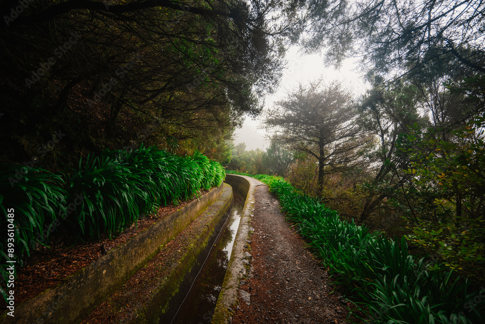 Naklejka premium Magical misty green forest with waterfalls in Levada do Norte, Madeira island, Portugal. PR17 Pinaculo e Folhadal