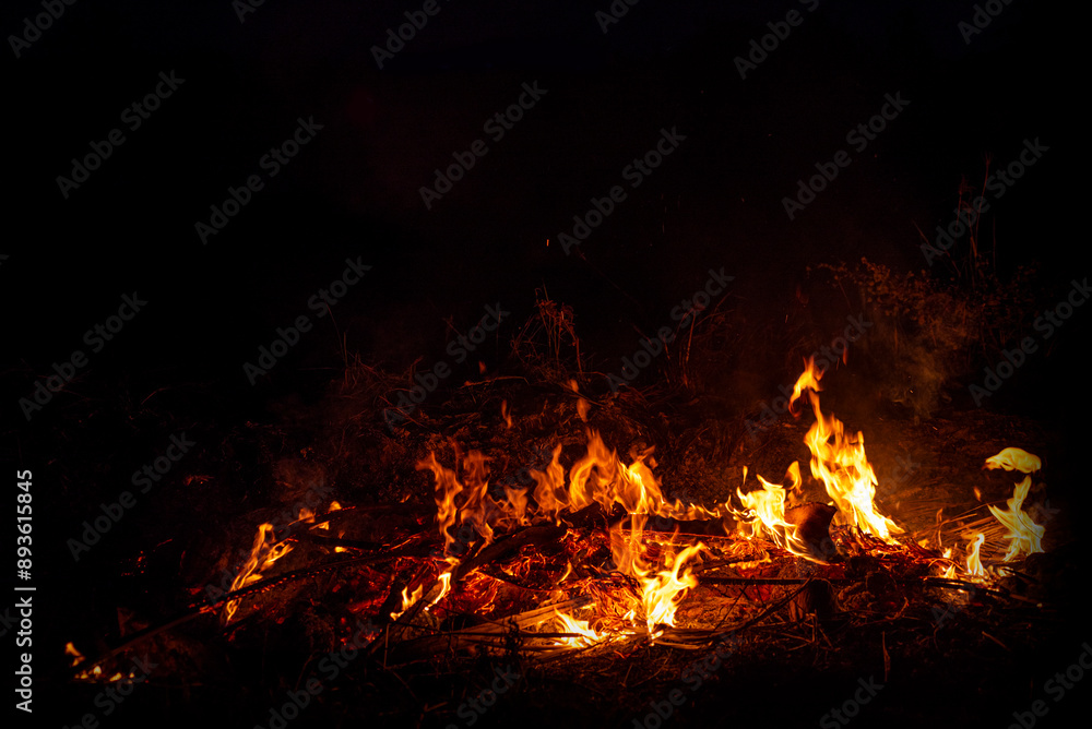 Night Fire Illuminates the Wild Night Fire Illuminates the Wild