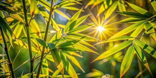 Intense sunlight illuminates delicate bamboo leaves, showcasing sharp edges and dynamic motion, as they sway gently in the breeze, captured in stunning macro detail. photo