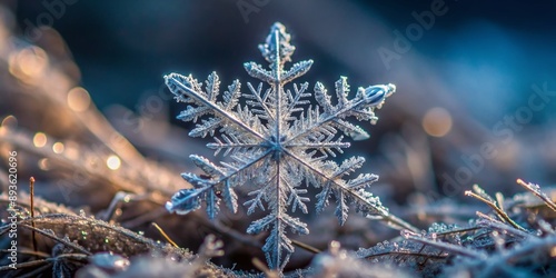 Delicate, intricate patterns and frosty crystalline structures shimmer in a mesmerizing dance across the surface of a single, pristine, macro-photographed snowflake. photo