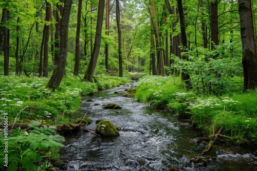 Spring background Stream of water in the forest