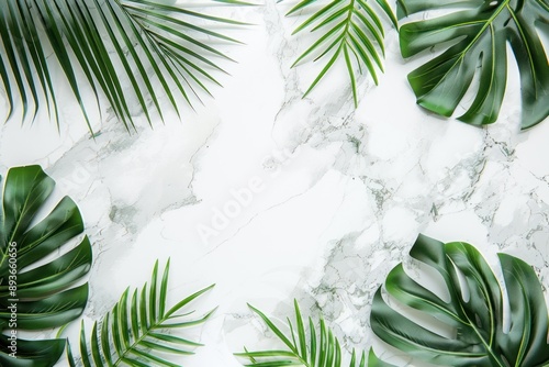 White Blank abstract shape marble template in white background on top view. decor by palm leaves. for product