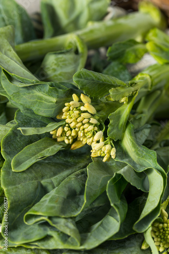 Raw Green Organic Asian Chinese Broccoli photo