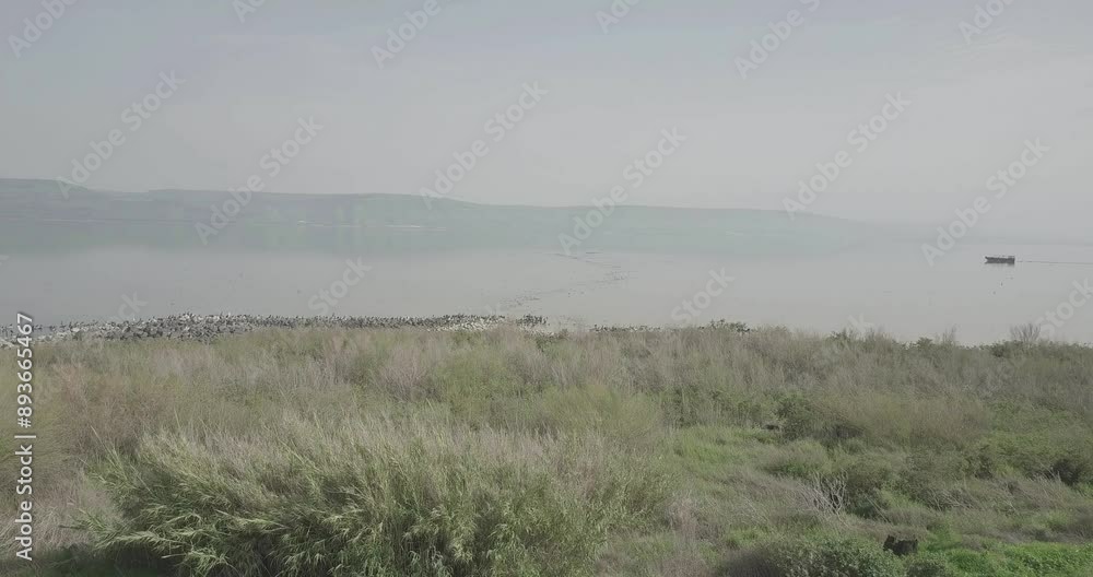 Single Boat in the Sea of Galilee
Flying over Sea of Galilee with single boat
Single Boat in the Sea of Galilee
Flying over Sea of Galilee with single boat
