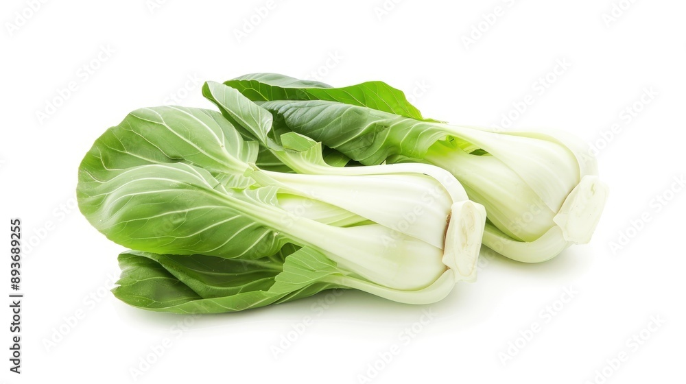Pok Choi on blank background