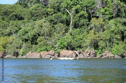 Rio Xingu
