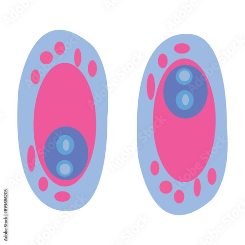 Virus Vector Element