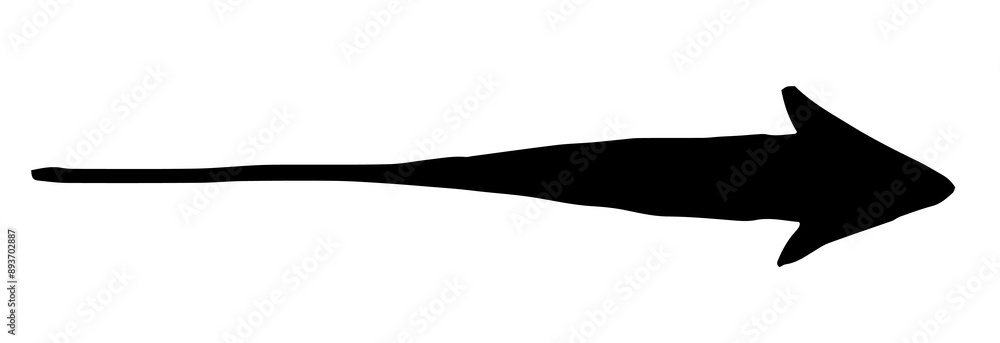 Hand painted arrow drawn with ink brush. Png clipart isolated on transparent background Hand painted arrow drawn with ink brush. Png clipart isolated on transparent background