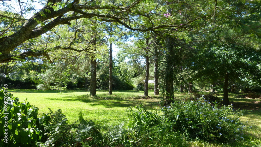 spring in the park spring in the park