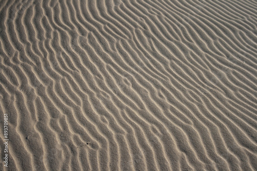 Düne an der Nordsee