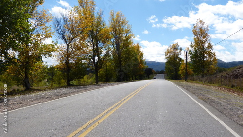 road with trees on each side and mountains far away