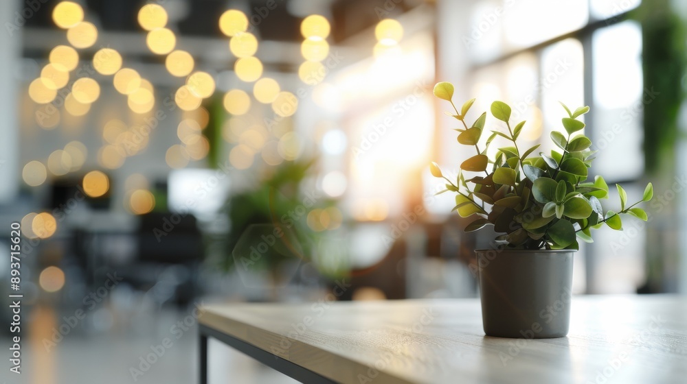 A potted plant sits on a wooden table in a room with a lot of light A potted plant sits on a wooden table in a room with a lot of light