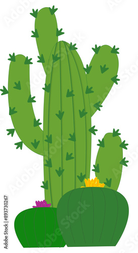 Cactus - colore verde con fiori gialli e rosa  - grafica vettoriale natura - vegetazione deserto - piante grasse
