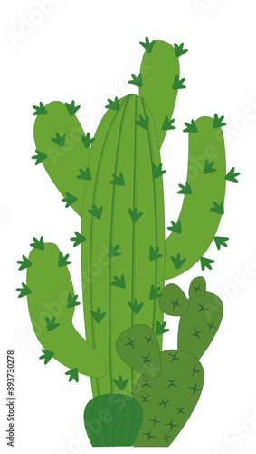 Cactus - colore verde con spine  - grafica vettoriale natura - vegetazione deserto - piante grasse