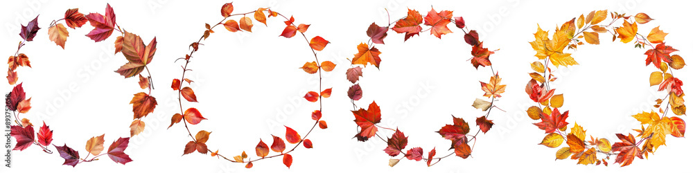 Collection of round autumnal leaves frames isolated on white or transparent background Collection of round autumnal leaves frames isolated on white or transparent background