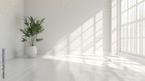 Minimalist Interior Design with White Pots and Sunlight