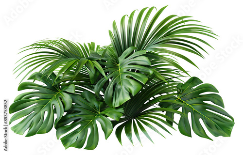 Fototapeta Naklejka Na Ścianę i Meble -  Lush green tropical plants bush, cut out