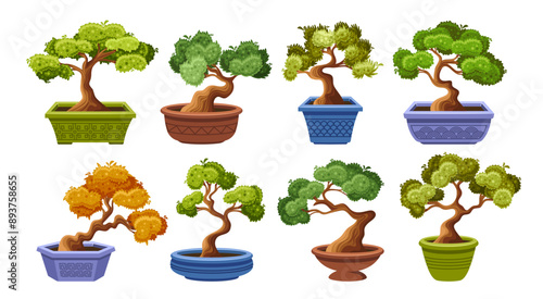 Set Of Bonsai Trees In Decorative Pots, Showcasing Different Shapes And Styles. Each Bonsai Tree Is Uniquely Styled