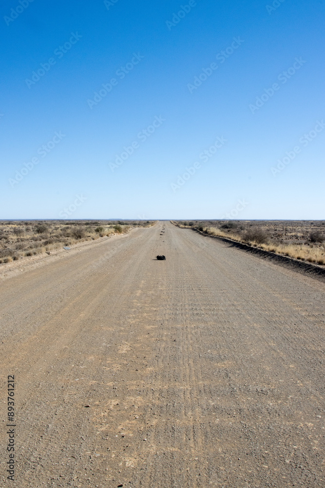 Lonely Northern Cape rural road, dead straight, with pieces of shredded lorry tyre that burst Lonely Northern Cape rural road, dead straight, with pieces of shredded lorry tyre that burst