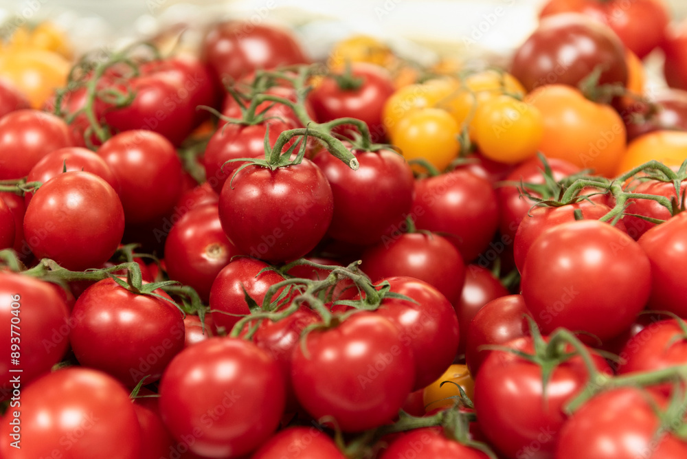 Red and Yellow cherry tomatoes on the vine Red and Yellow cherry tomatoes on the vine