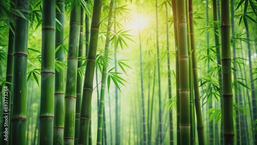Green bamboo wallpaper in a nature background with a beautiful bamboo forest , bamboo, green, wallpaper, nature, background