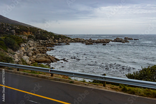 Cape Of Good Hope South Africa
