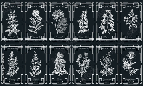 Art Deco apothecary labels set. Witchcraft, healing herbs, mystical plant sketches. Vintage frame design templates. NOT AI generated