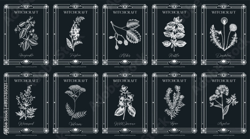 Art Deco witchraft labels set. Healing herbs, mystical plant sketches. Vintage frame design templates. NOT AI generated