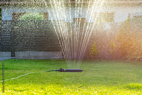 Canvas Print Grass swing sprinkler watering the lawn in the backyard of a house