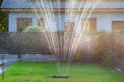 Grass swing sprinkler watering the lawn in the backyard of a house.