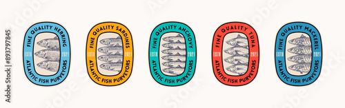 Fish Seafood Vector Label Design Collection. Modern Typography and Hand Drawn Tuna, Herring, Anchovy and Mackerel Stamp Emblem Background Layouts Set Isolated
