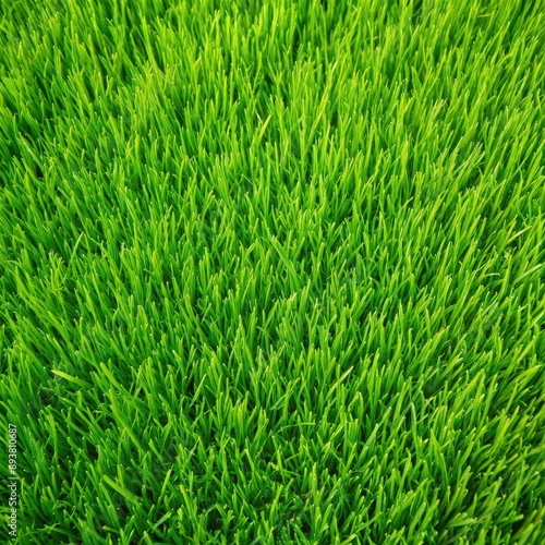 Lush Green Grass Blades Viewed From Above. Generative AI